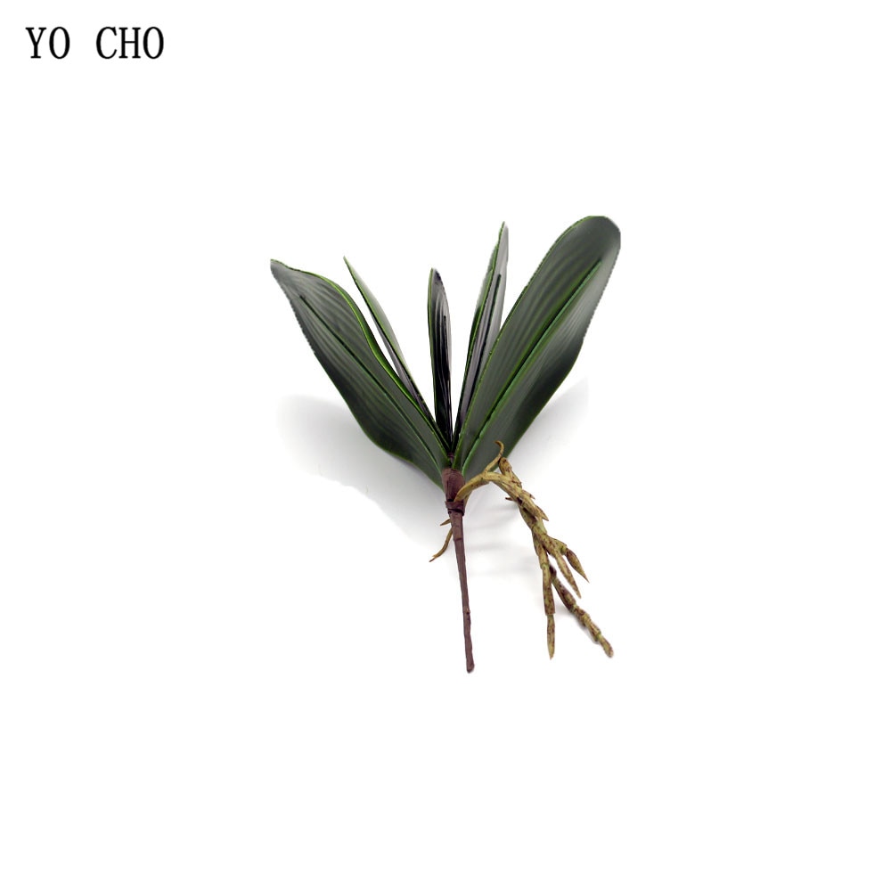YO CHO 7pcs ¥  ΰ  Phalaenopsis  Paty..